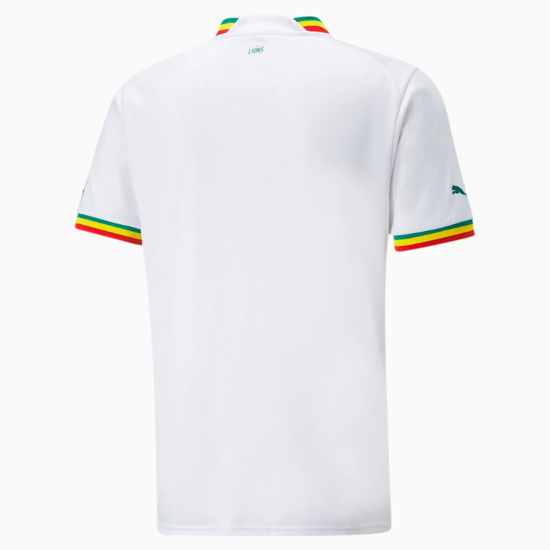 Senegal National Teams Shirt 2022 Qatar World Cup Custom Jersey