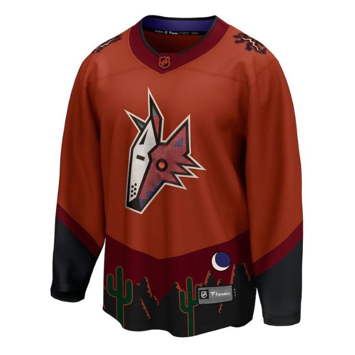 Arizona Coyotes Unisex Special Edition 2.0 Breakaway Personalized Jersey - Burnt Orange - Jersey Teams World