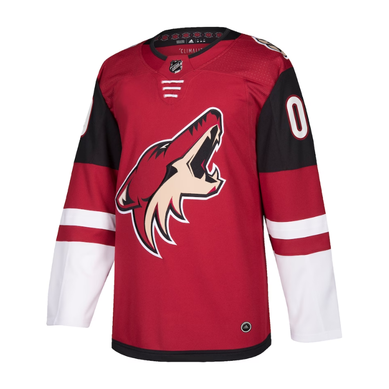 Arizona Coyotes Team Custom Jersey Pro Official - Jersey Teams World