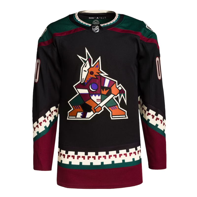 Arizona Coyotes Team Home Primegreen Custom Jersey - Black - Jersey Teams World