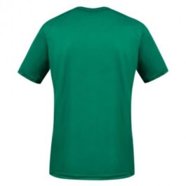 Cameroon National Team 2021/22 Custom Jersey