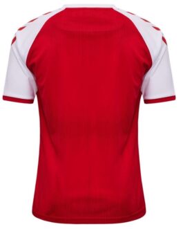 Denmark National Team 2021/22 Custom Jersey