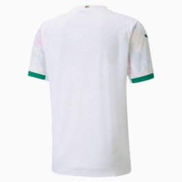 Senegal National Team 2022 Qatar World Cup Custom Jersey