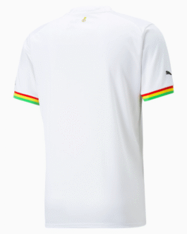 Ghana National Teams Shirt 2022 Qatar World Cup Custom Jersey