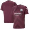 Manchester City Goalkeeper Shirt 2022-23 Custom Jersey Violo