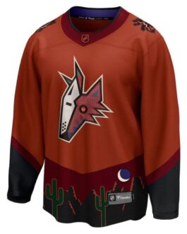 Arizona Coyotes ed Special Edition 2.0 Breakaway Jersey – Burnt Orange