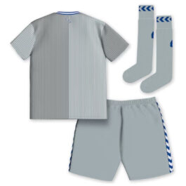 Everton Third Kids Kit 2023-24 Custom Jersey – Gray